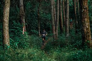 BIB: 
                            <button type="button" onclick="openModal(25237166)" class="btn btn-primary btn-sm float-right btn-popup" data-toggle="modal" data-target=".modal-high-quality">
                        <i class="fas fa-shopping-cart"></i> Add to Cart
                    </button>
                                            <button type="button" onclick="isThisMe(25237166, true)" class="btn btn-success btn-sm float-right btn-popup btn-isme hidden" data-toggle="tooltip" data-placement="bottom" title="นี่คือรูปของคุณใช่ไหม คลิกที่นี่เพื่อเอาเข้าอัลบั้ม">
                        <i class="fas fa-plus"></i> Add to album
                    </button>
                    <button type="button" onclick="isThisMe(25237166, false)" class="btn btn-warning btn-sm float-right btn-popup btn-isnotme hidden">
                        <i class="fas fa-ban"></i> Remove from album
                    </button>